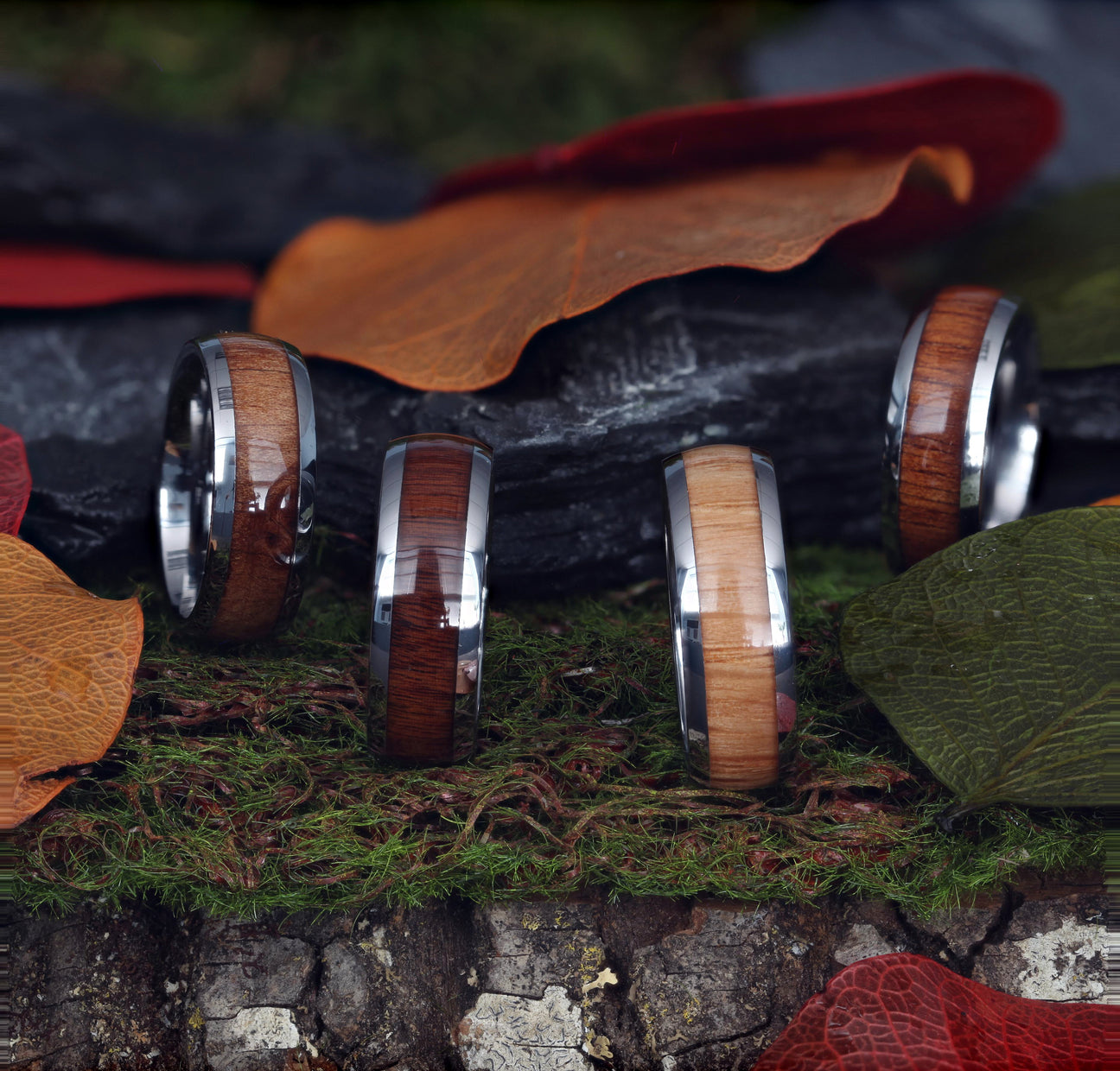 Ash Wood Collection